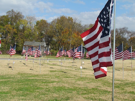 image of Veteran's Day Ceremony
