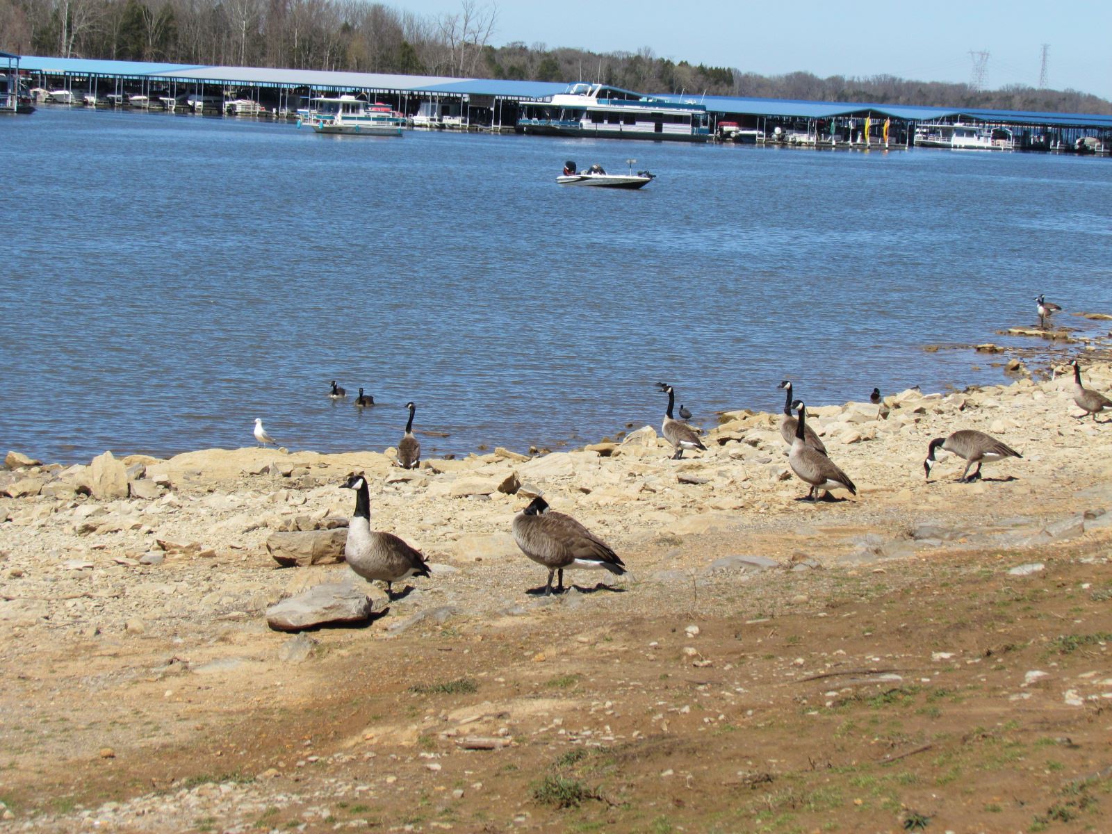 Hurricane Creek Boat Ramp