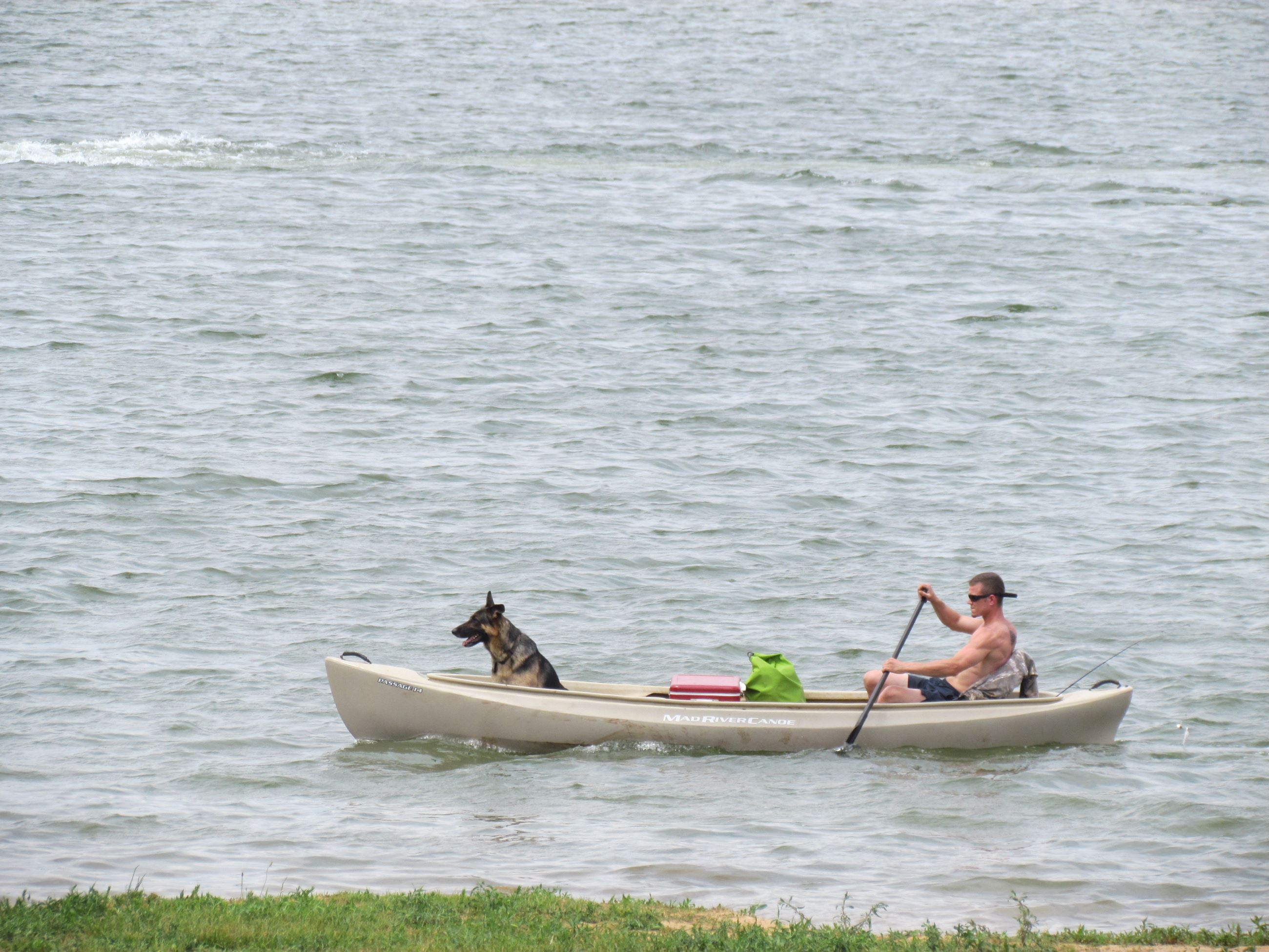 Canoeing with dog